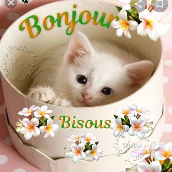 Meet your Posher, Zahra - Picture 2 of 4